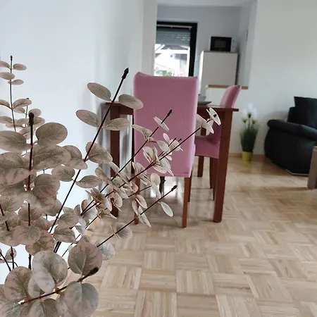 Apartma Nena 博维茨