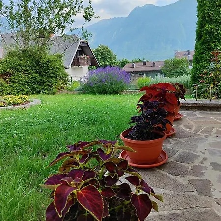 Apartma Nena *