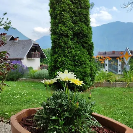 Apartma Nena Apartment Bovec