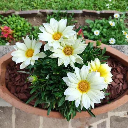 Apartment Apartma Nena Bovec