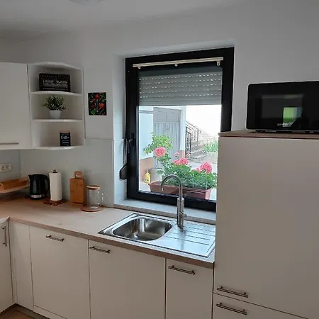 Apartma Nena 公寓 博维茨