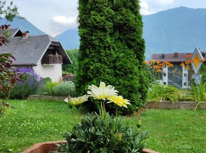 Apartma Nena アパート ボヴェツ