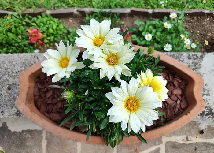 アパート Apartma Nena ボヴェツ